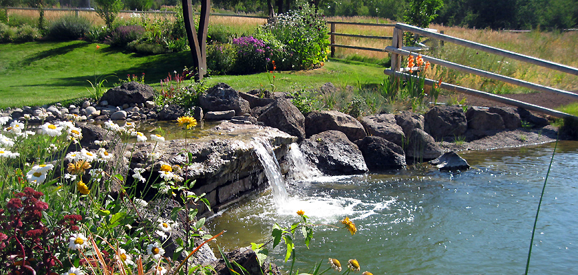 flower and pond installation